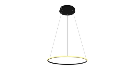 Подвесной светодиодный светильник Arte Lamp A2500SP-1BK