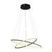 Подвесной светодиодный светильник Arte Lamp A2500SP-2BK