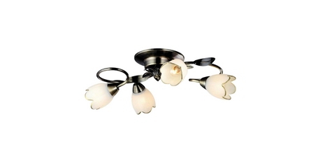 Потолочная люстра Arte Lamp 4 A6061PL-4AB