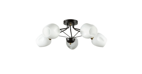 Потолочная люстра ARTE Lamp A2706PL-5CK