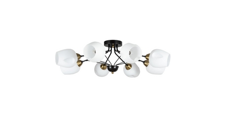 Потолочная люстра ARTE Lamp A2706PL-8CK