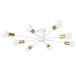 Потолочная люстра Arte Lamp Alastor A6702PL-8WH