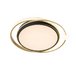 Потолочная люстра Arte Lamp Albireo A2658PL-58BK