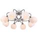 Потолочная люстра Arte Lamp Ellisse A6342PL-8WG