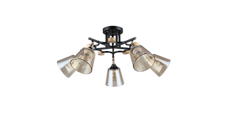 Потолочная люстра Arte Lamp Glassy A5078PL-5BK