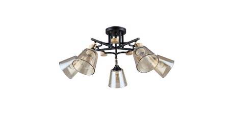 Потолочная люстра Arte Lamp Glassy A5078PL-5BK