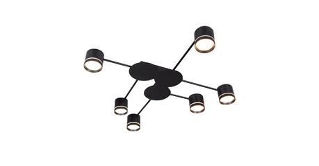 Потолочная люстра Arte Lamp Legacy A8024PL-6BK