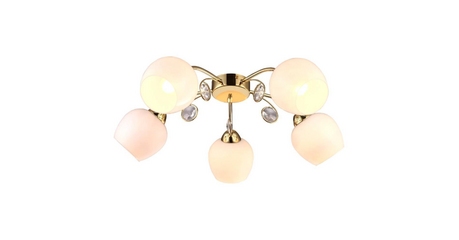 Потолочная люстра Arte Lamp Millo A9549PL-5GO