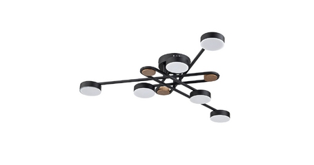 Потолочная люстра Arte Lamp Taygeta A2455PL-6BK