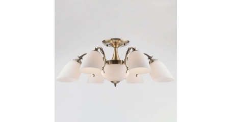 Потолочная люстра Eurosvet 22010/6+2 античная бронза