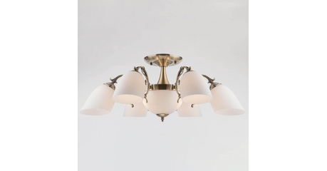 Потолочная люстра Eurosvet 22010/6+2 античная бронза