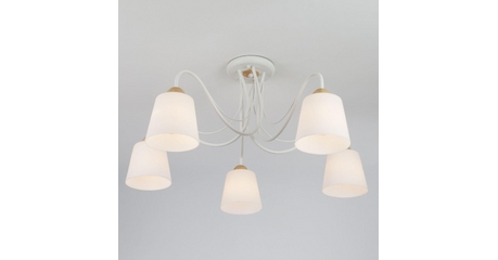 Потолочная люстра Eurosvet Betty 70062/5 белый