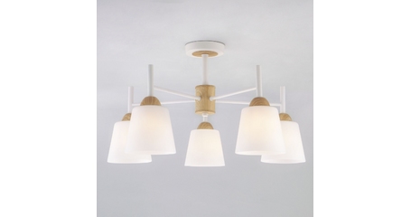 Потолочная люстра Eurosvet Fresco 70085/5 белый