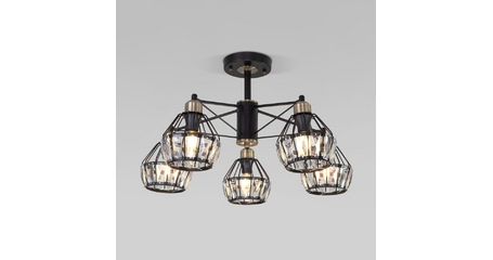 Потолочная люстра Eurosvet Lord 70075/5 черный