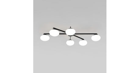 Потолочная люстра Eurosvet Opaline 70220/6 черный a065765