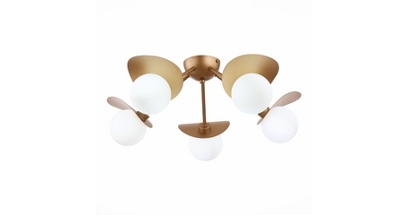 Потолочная люстра Evoluce Bolzano SLE220502-05