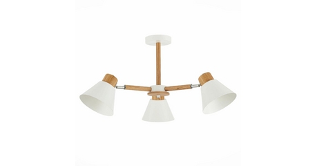 Потолочная люстра Evoluce Buve SLE103702-03