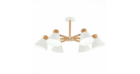 Потолочная люстра Evoluce Buve SLE103702-06