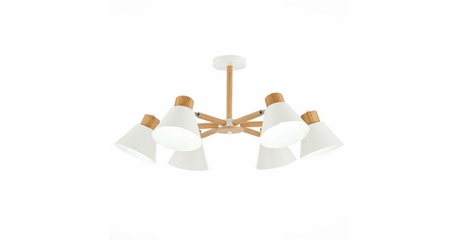 Потолочная люстра Evoluce Buve SLE103702-06