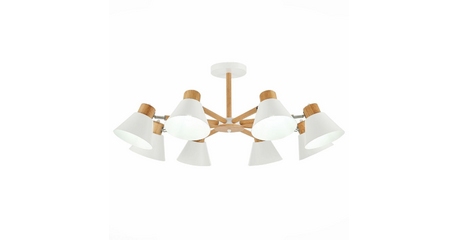 Потолочная люстра Evoluce Buve SLE103702-08