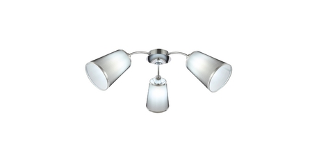 Потолочная люстра EVOLUCE MALEONTE SLE103002-03