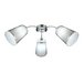 Потолочная люстра EVOLUCE MALEONTE SLE103002-03