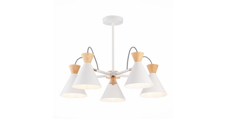 Потолочная люстра Evoluce Modica SLE125102-05