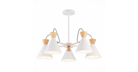 Потолочная люстра Evoluce Modica SLE125102-05