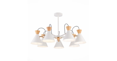 Потолочная люстра Evoluce Modica SLE125102-07