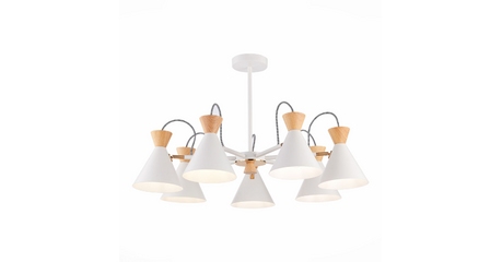 Потолочная люстра Evoluce Modica SLE125102-07