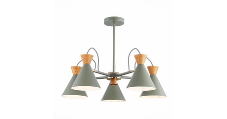 Потолочная люстра Evoluce Modica SLE125112-05