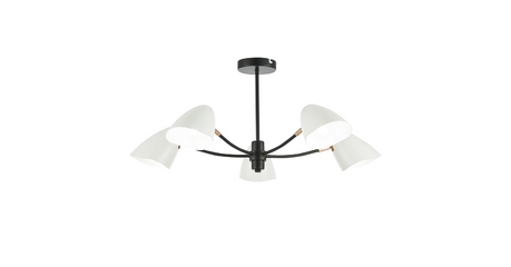 Потолочная люстра EVOLUCE SATTA SLE103602-05