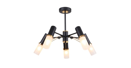 Потолочная люстра F-Promo Viator 2558-5P