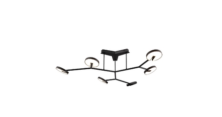 Потолочная люстра Favourite Paritet 4401-6C