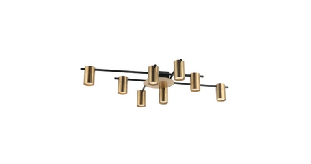 Потолочная люстра Favourite Topper 2827-8P