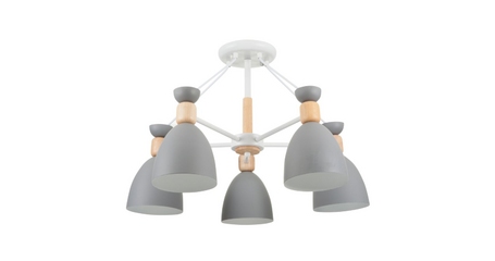 Потолочная люстра Freya Delia FR5033CL-05W