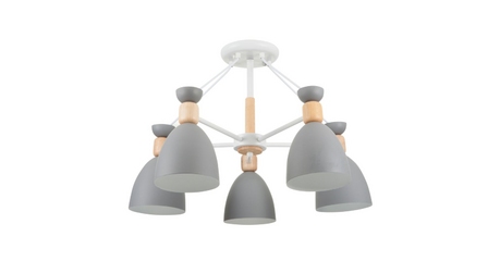 Потолочная люстра Freya Delia FR5033CL-05W