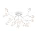 Потолочная люстра Freya Florencia FR5049CL-27W2