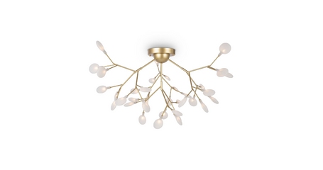 Потолочная люстра Freya Florencia FR5049CL-36G