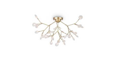 Потолочная люстра Freya Florencia FR5049CL-36G