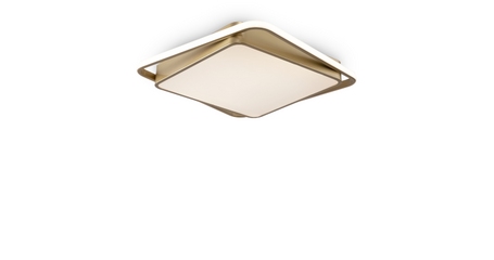 Потолочная люстра Freya Yaku FR10026CL-L93G