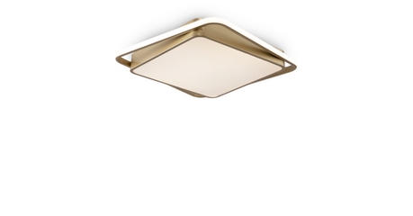 Потолочная люстра Freya Yaku FR10026CL-L93G