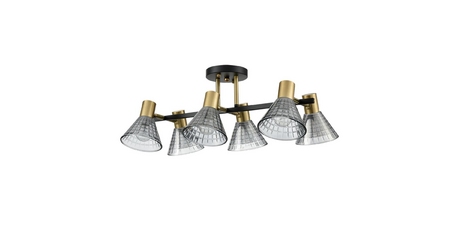 Потолочная люстра Lumion Anriya 8044/6C