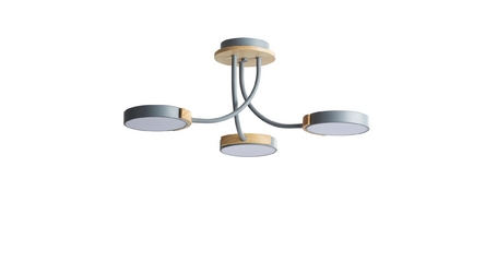 Потолочная люстра Lumion Arley 5655/54CL