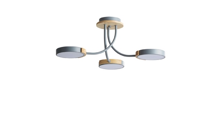 Потолочная люстра Lumion Arley 5655/54CL