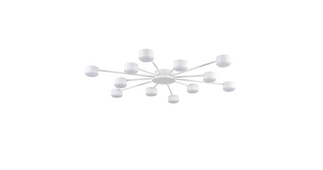 Потолочная люстра Lumion Comfi Torina 8343/12C