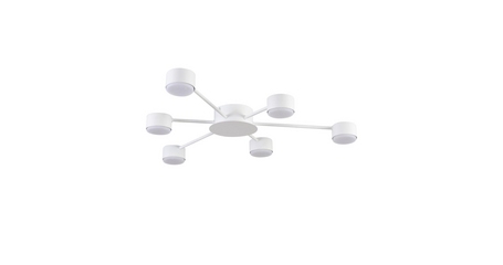 Потолочная люстра Lumion Comfi Torina 8343/6C