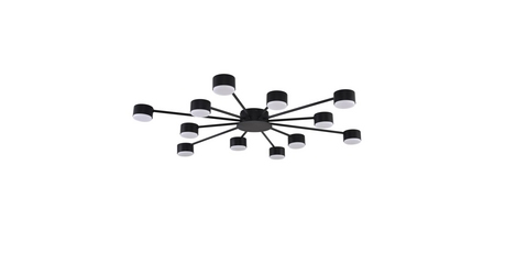 Потолочная люстра Lumion Comfi Torina 8344/12C