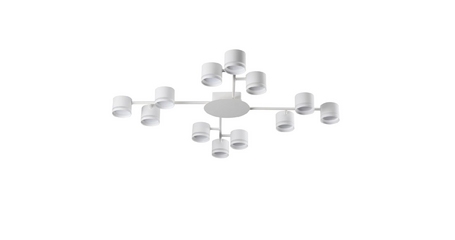 Потолочная люстра Lumion Gareta 8235/12C