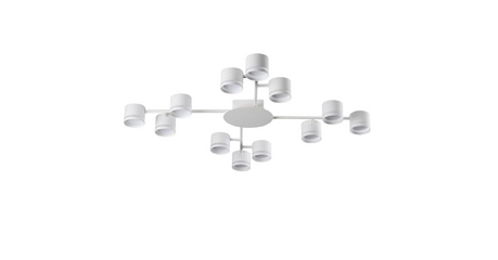 Потолочная люстра Lumion Gareta 8235/12C